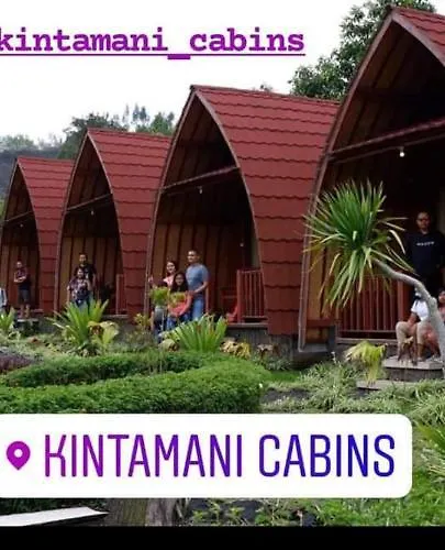 ロッジ Kintamani Cabins Kintamani