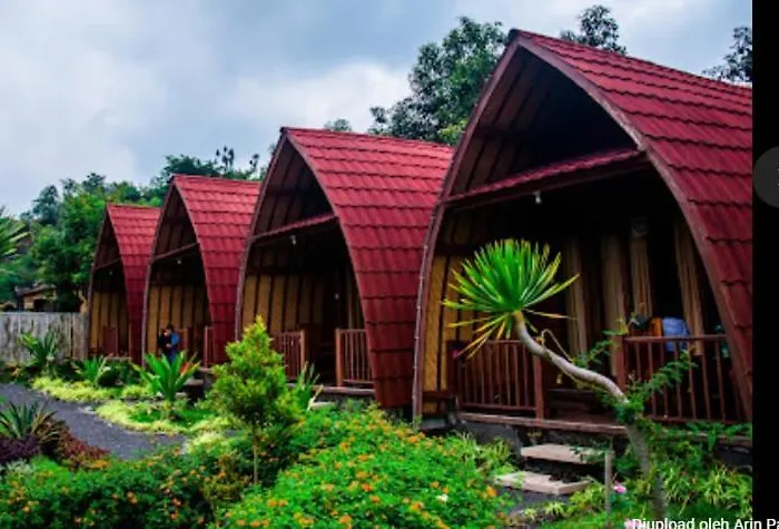 Kintamani Cabins ロッジ *