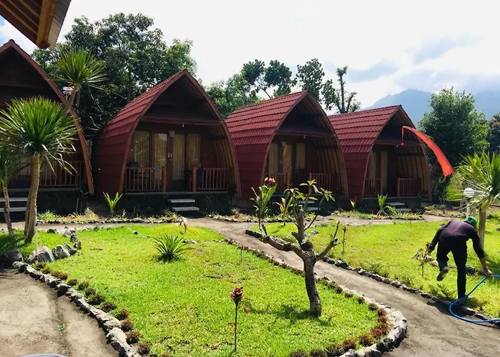 Kintamani Cabins ロッジ *
